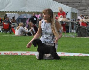 alira-International-Dog-Show-Estonia-Tallinn-23-08-2014-1