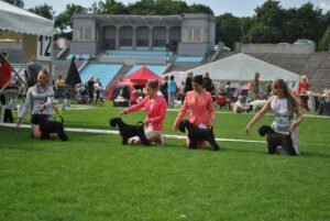 alira-International-Dog-Show-Estonia-Tallinn-23-08-2014-3