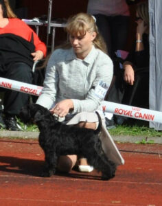 alira-International-Dog-Show-Estonia-Tallinn-23-08-2014-4