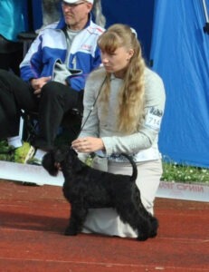 alira-International-Dog-Show-Estonia-Tallinn-23-08-2014-5